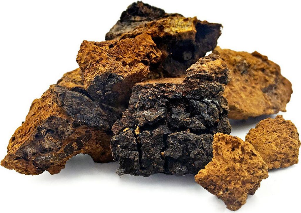 Chaga for skin and hair